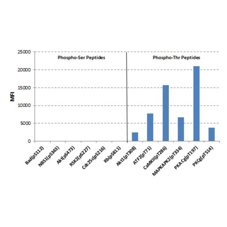 Multiplex Immunoassay - Anti-Phosphothreonine Antibody [RM102] (A121354) - Antibodies.com