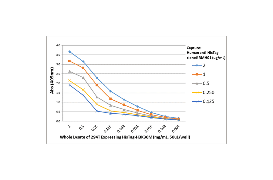 ELISA - Anti-His Tag Antibody [RMH01] (A121359) - Antibodies.com