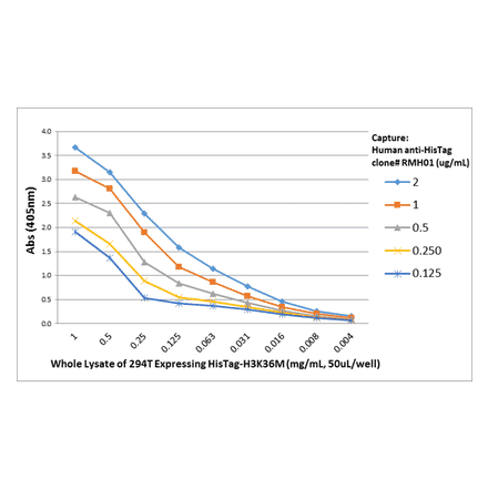 ELISA - Anti-His Tag Antibody [RMH01] (A121359) - Antibodies.com