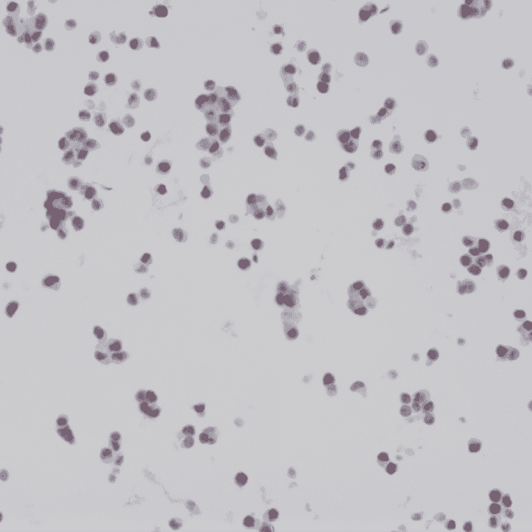 Immunohistochemistry - Anti-BAG-1L Antibody [RM310] (A121438) - Antibodies.com