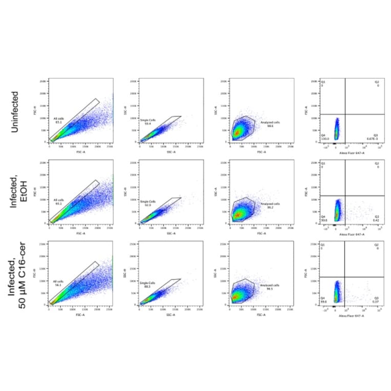 Flow Cytometry - Anti-UIS4 Antibody - Antibodies.com