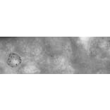 Immune Electron Microscopy - Anti-Cathepsin D Antibody (AB0043) - Antibodies.com