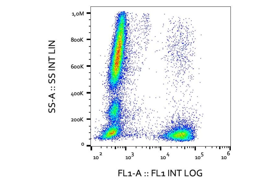 Flow Cytometry - Anti-CD3 Antibody [OKT3] (Alexa Fluor® 488) (A18840) - Antibodies.com