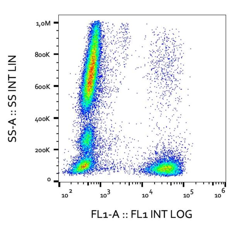 Flow Cytometry - Anti-CD3 Antibody [OKT3] (Alexa Fluor® 488) (A18840) - Antibodies.com