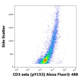Flow Cytometry - Anti-CD3 zeta (phospho Tyr153) Antibody [EM-17] (Alexa Fluor® 647) (A18735) - Antibodies.com