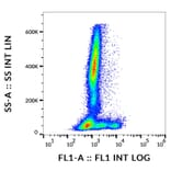 Flow Cytometry - Anti-CD73 Antibody [AD2] (Alexa Fluor® 488) (A18852) - Antibodies.com