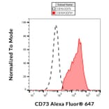 Flow Cytometry - Anti-CD73 Antibody [AD2] (Alexa Fluor® 647) (A121733) - Antibodies.com