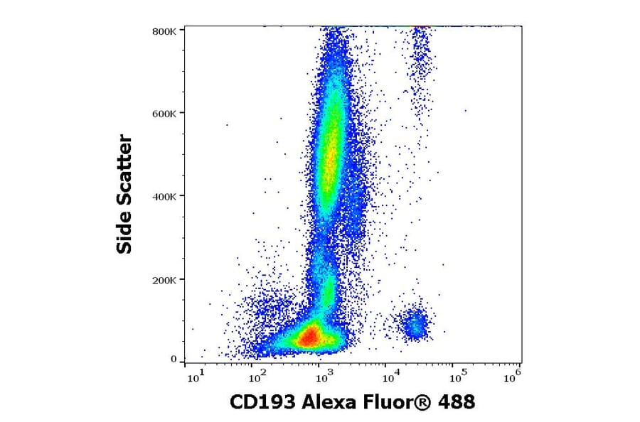 Flow Cytometry - Anti-CD193 Antibody [5E8] (Alexa Fluor® 488) (A18757) - Antibodies.com