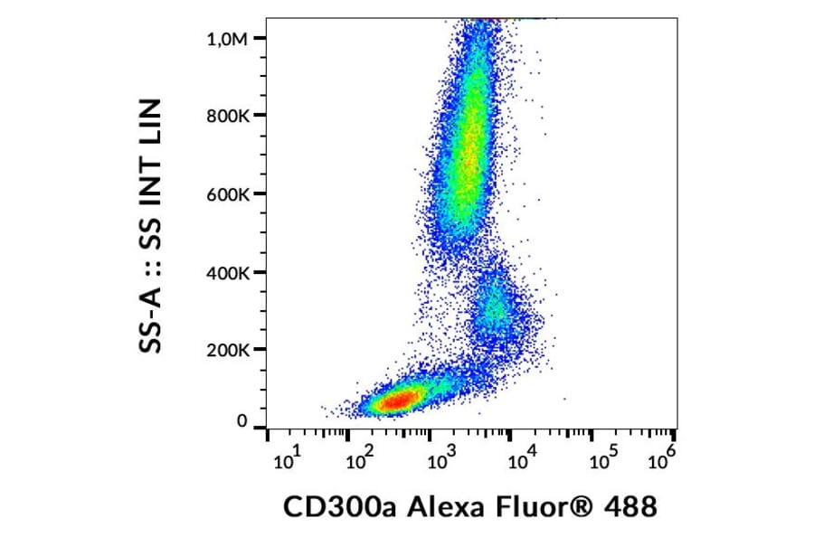 Flow Cytometry - Anti-CD300a Antibody [MEM-260] (Alexa Fluor® 488) (A18777) - Antibodies.com