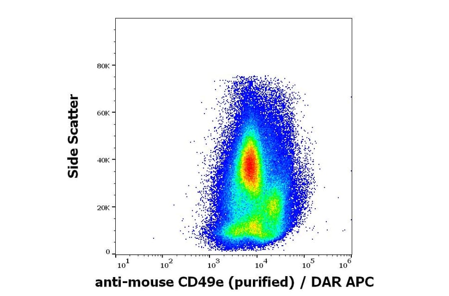 Flow Cytometry - Anti-Integrin alpha 5 Antibody [5H10-27 (MFR5)] - BSA and Azide free (A121766)