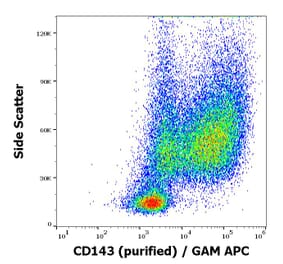 Flow Cytometry - Anti-ACE Antibody [5-369] (A121776)