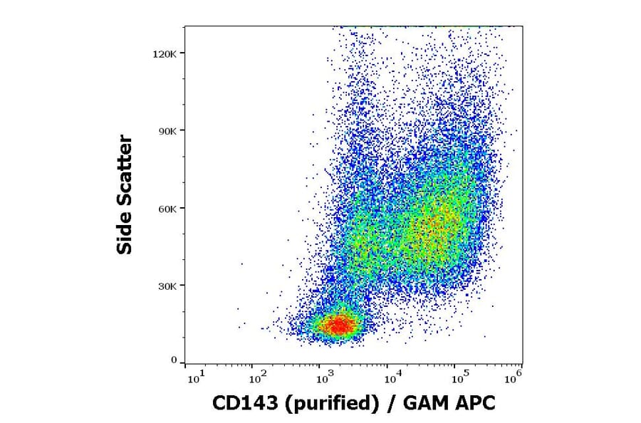 Flow Cytometry - Anti-ACE Antibody [5-369] (A121776)