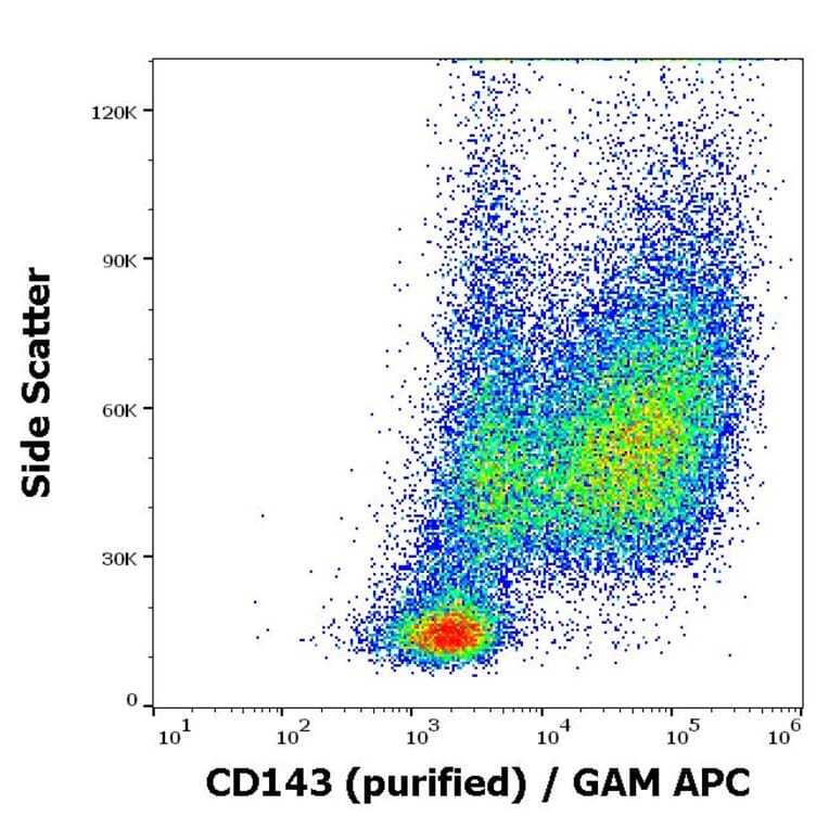 Flow Cytometry - Anti-ACE Antibody [5-369] (A121776)