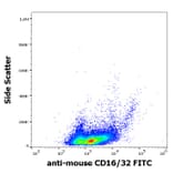 Flow Cytometry - Anti-CD16 + CD32 Antibody [93] (FITC) (A121778)
