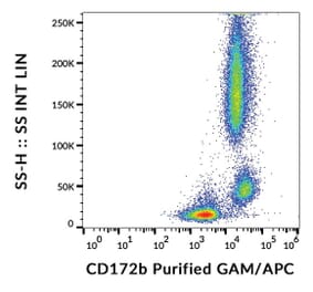 Flow Cytometry - Anti-CD172b Antibody [B4B6] (A121781) - Antibodies.com