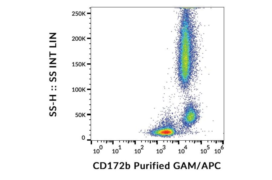 Flow Cytometry - Anti-CD172b Antibody [B4B6] (A121781) - Antibodies.com