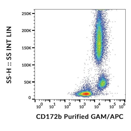 Flow Cytometry - Anti-CD172b Antibody [B4B6] (A121781) - Antibodies.com