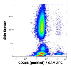Flow Cytometry - Anti-BAFF-R Antibody [11C1] (A121788)