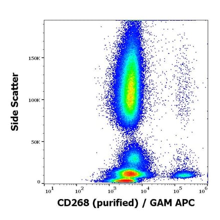 Flow Cytometry - Anti-BAFF-R Antibody [11C1] (A121788)
