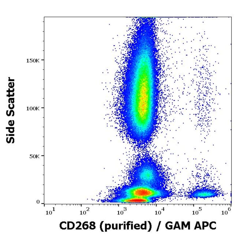 Flow Cytometry - Anti-BAFF-R Antibody [11C1] (A121788)