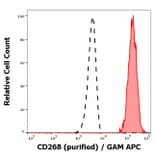 Flow Cytometry - Anti-BAFF-R Antibody [11C1] (A121788)