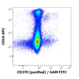 Flow Cytometry - Anti-CLEC9A Antibody [8F9] (A121791)