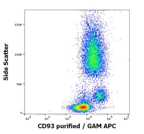Flow Cytometry - Anti-CD93 Antibody [VIMD2] (A121798)