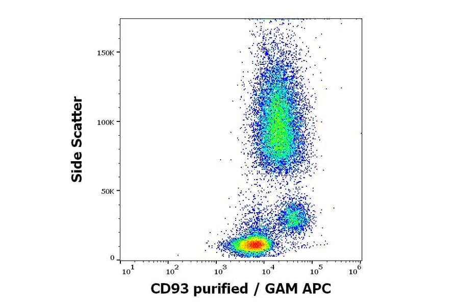 Flow Cytometry - Anti-CD93 Antibody [VIMD2] (A121798)