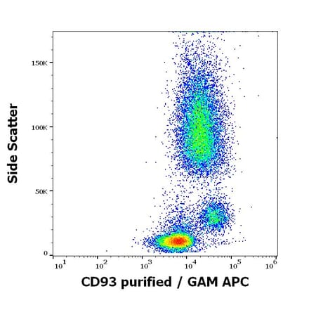 Flow Cytometry - Anti-CD93 Antibody [VIMD2] (A121798)