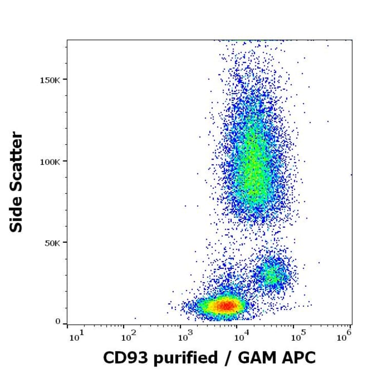 Flow Cytometry - Anti-CD93 Antibody [VIMD2] (A121798)