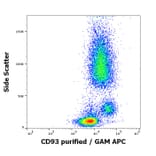 Flow Cytometry - Anti-CD93 Antibody [VIMD2] (A121798)