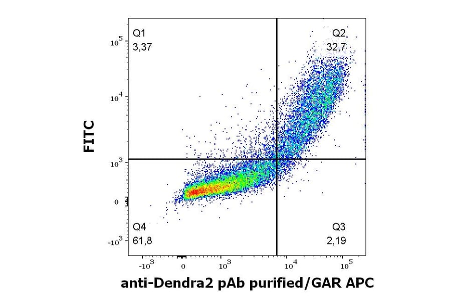 Flow Cytometry - Anti-DENDRA2 Antibody (A121799)