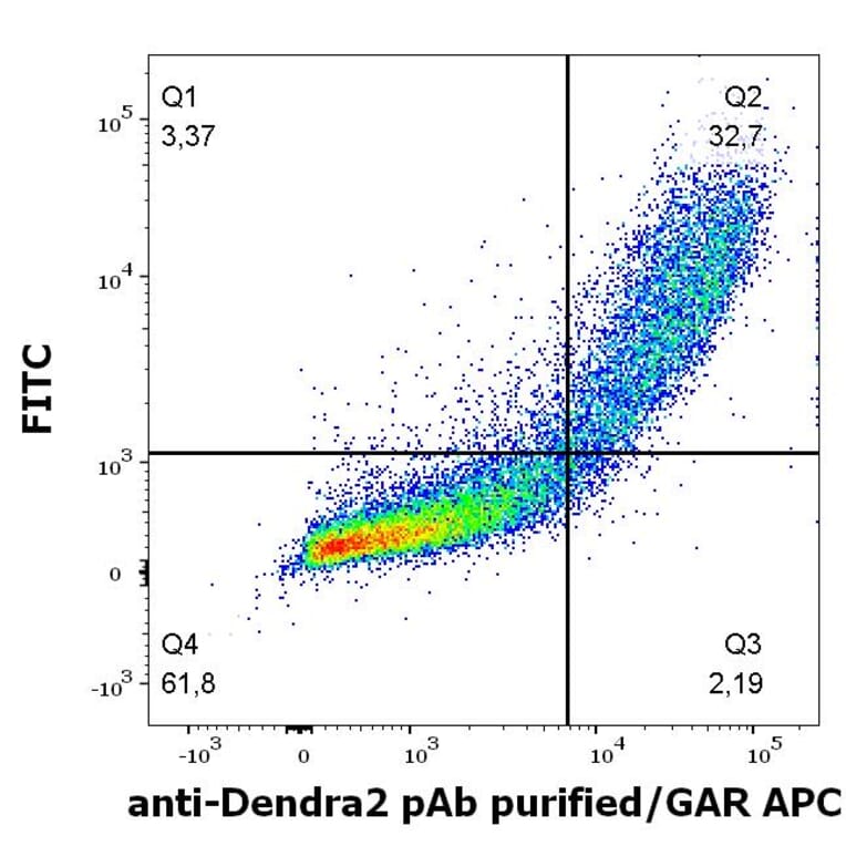 Flow Cytometry - Anti-DENDRA2 Antibody (A121799)