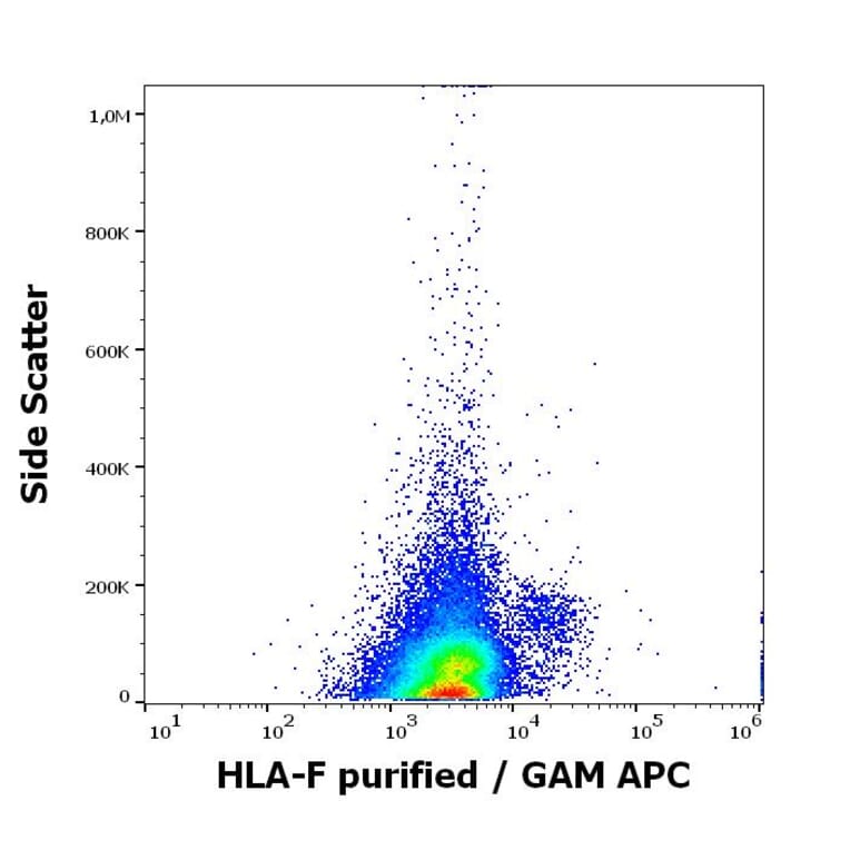 Flow Cytometry - Anti-HLA F Antibody [3D11] (A121802)