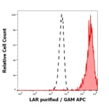 Flow Cytometry - Anti-LAR Antibody [W7C6] (A121804)