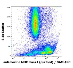 Flow Cytometry - Anti-MHC Class I Antibody [IVA26] (A121806)