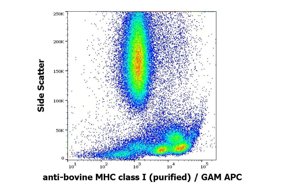 Flow Cytometry - Anti-MHC Class I Antibody [IVA26] (A121806)