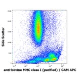 Flow Cytometry - Anti-MHC Class I Antibody [IVA26] (A121806)