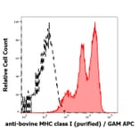 Flow Cytometry - Anti-MHC Class I Antibody [IVA26] (A121806)