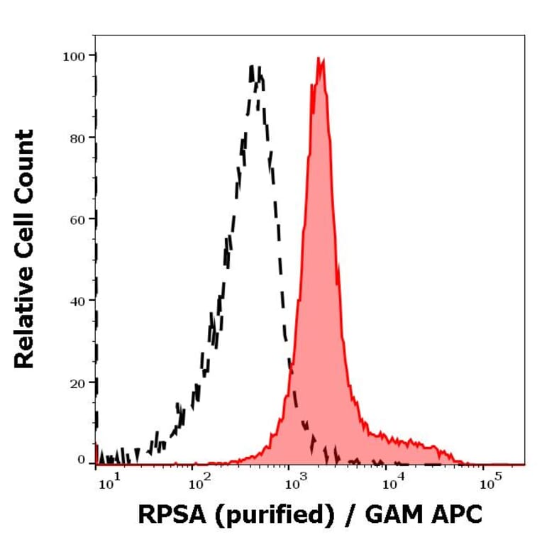 Flow Cytometry - Anti-67kDa Laminin Receptor Antibody [RP-01] (A121808)