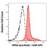 Flow Cytometry - Anti-67kDa Laminin Receptor Antibody [RP-01] (A121808)