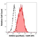 Flow Cytometry - Anti-SUSD2 Antibody [W5C5] (A121809)