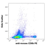 Flow Cytometry - Anti-CD8 beta Antibody [H35-17.2] (PE) (A121821)
