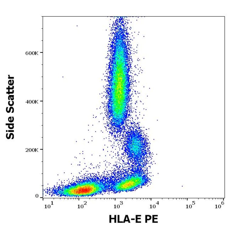 Flow Cytometry - Anti-HLA E Antibody [3D12] (PE) (A121829) - Antibodies.com