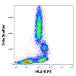Flow Cytometry - Anti-HLA E Antibody [3D12] (PE) (A121829) - Antibodies.com