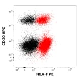 Flow Cytometry - Anti-HLA F Antibody [3D11] (PE) (A121831)
