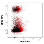 Flow Cytometry - Anti-HLA F Antibody [3D11] (PE) (A121831)