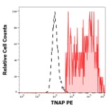 Flow Cytometry - Anti-Alkaline Phosphatase Antibody [W8B2B10] (PE) (A121836)