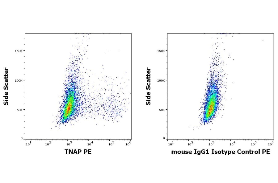 Flow Cytometry - Anti-Alkaline Phosphatase Antibody [W8B2B10] (PE) (A121836)