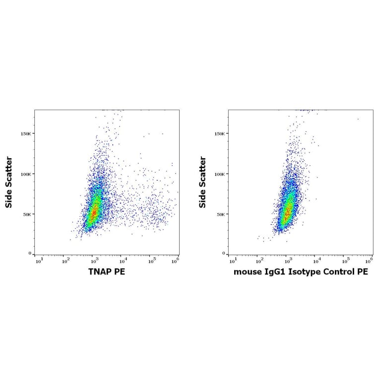 Flow Cytometry - Anti-Alkaline Phosphatase Antibody [W8B2B10] (PE) (A121836)